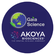 https://global-engage.com/wp-content/uploads/2023/09/Gaia & Akoya- logo.jpg